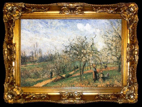 framed  Camille Pissarro Pang map of apple Schwarz, ta009-2